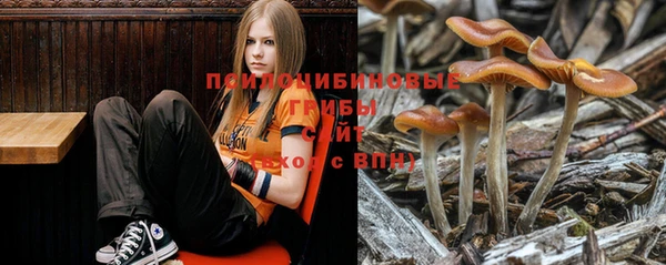 экстази Алексеевка