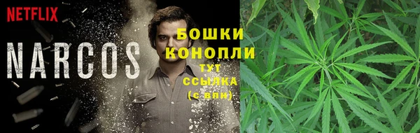 соль ск Алзамай