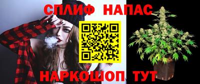 мяу мяу мука Малоярославец