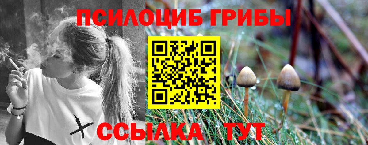 Галлюциногенные грибы MAGIC MUSHROOMS Ставрополь