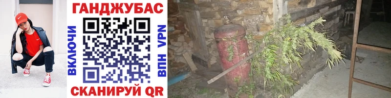 Марихуана гибрид  Ставрополь 